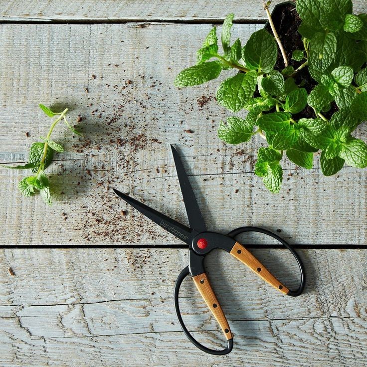 Садовые ножницы: 110 фото приспособлений для обработки травы и веток