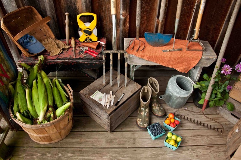 Самые необходимые садовые инструменты и инвентарь для работы на участке
